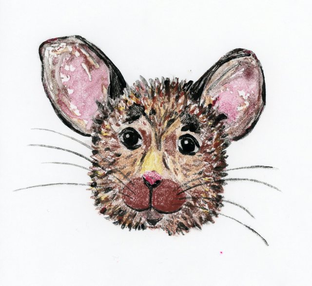 Friendly little mouse